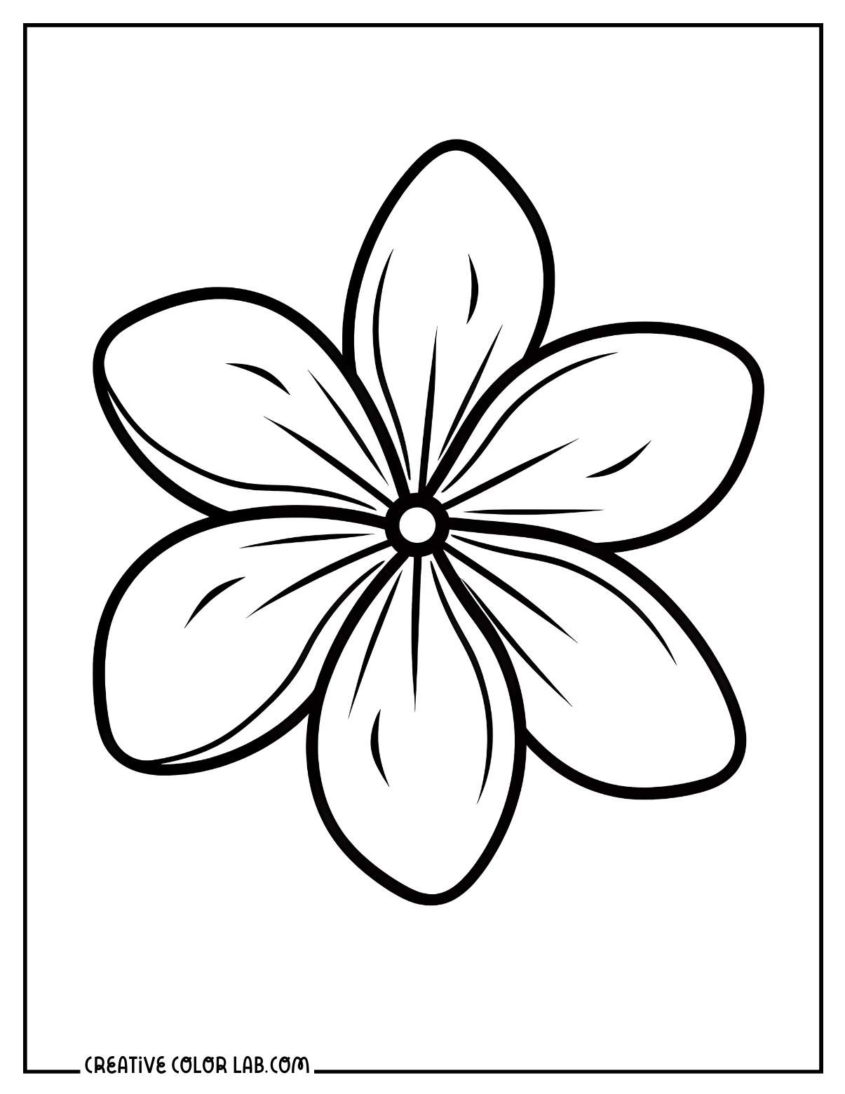 10 Hawaiian Tropical Flower Coloring Pages Free PDF Printables
