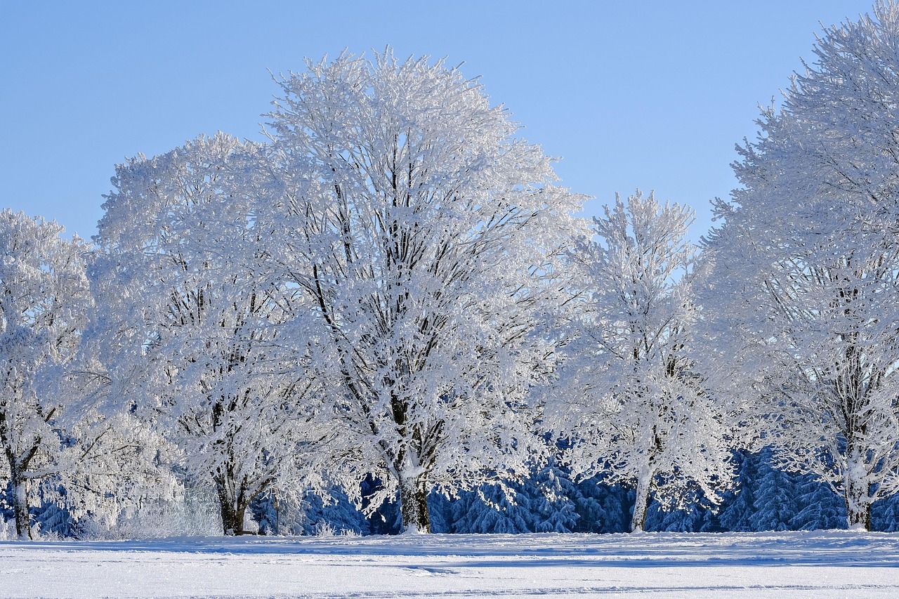 100 000 Free Hand Print In The Snow Winter Images Pixabay