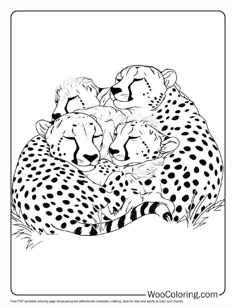 Cheetah Printable Images
