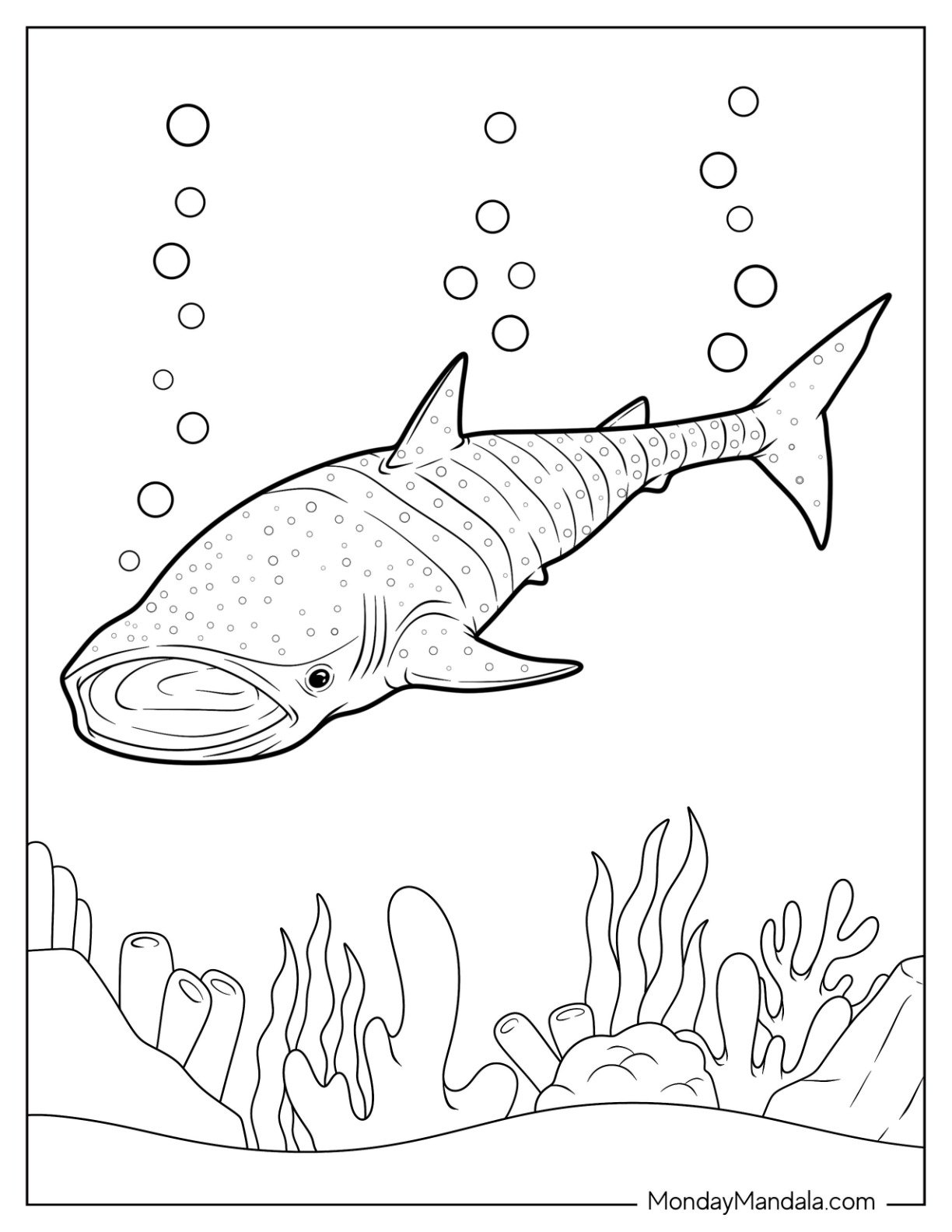 Printable Shark Images