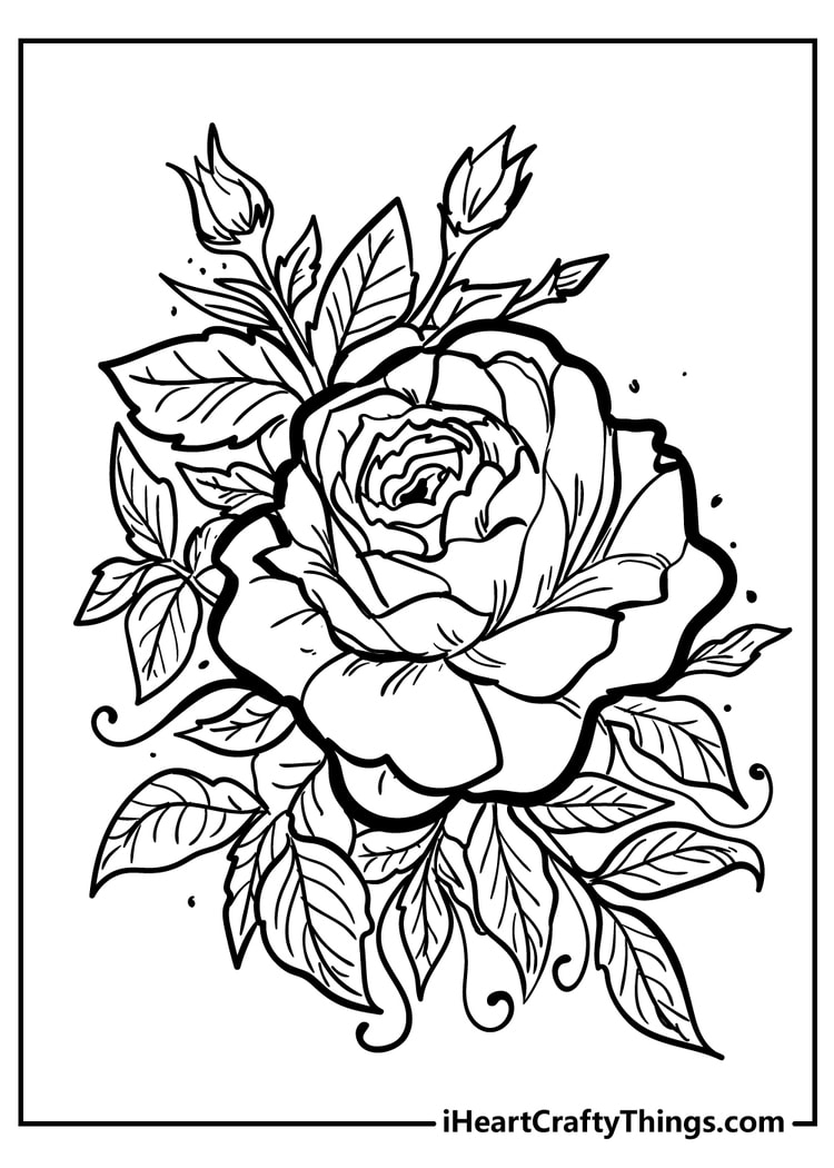 Printable Images Of Roses