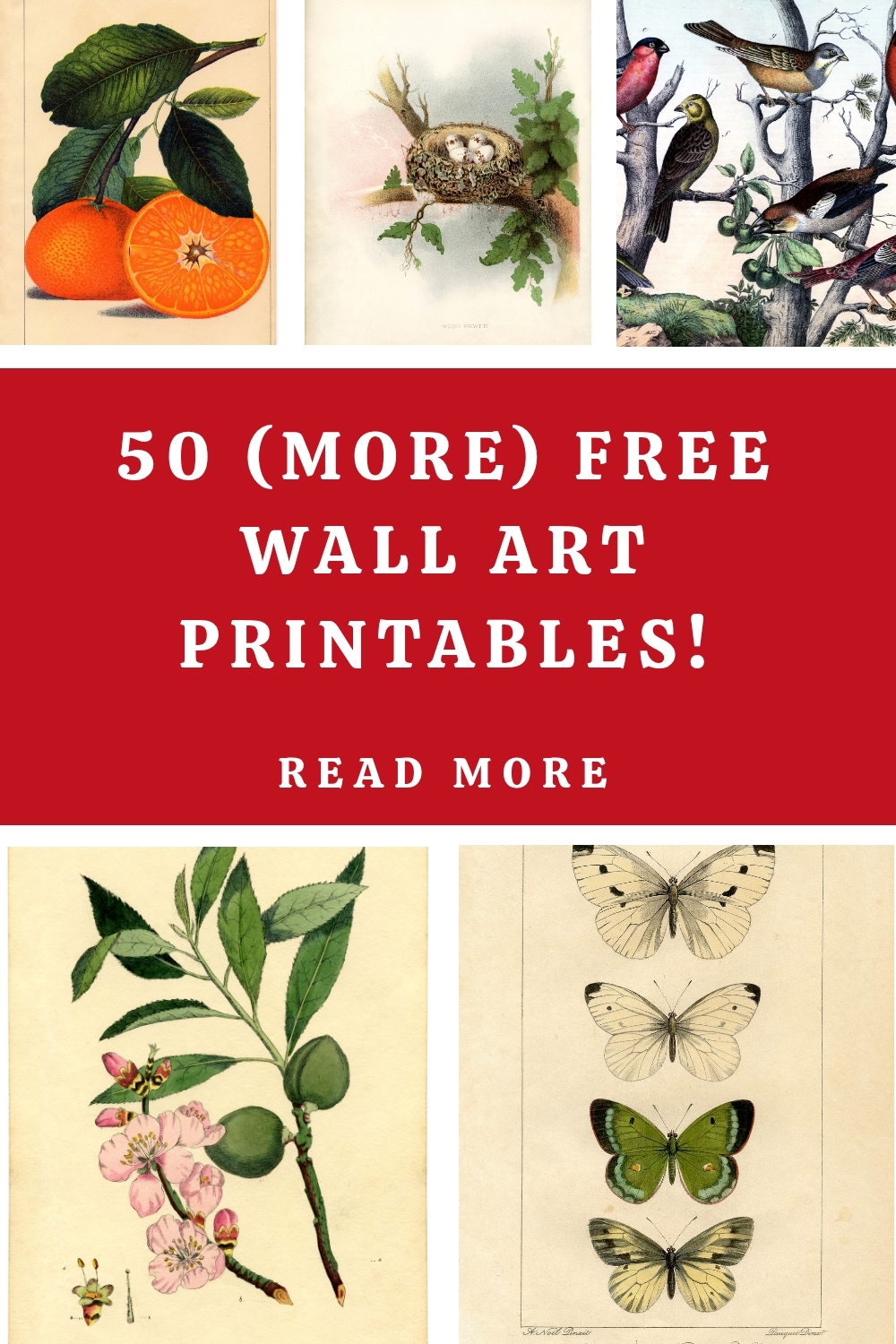 Wall Art, Wallpaper, Image, Free Printables, Prints