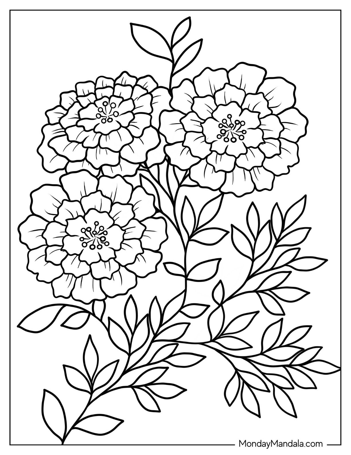 Printable Images Of Flowers