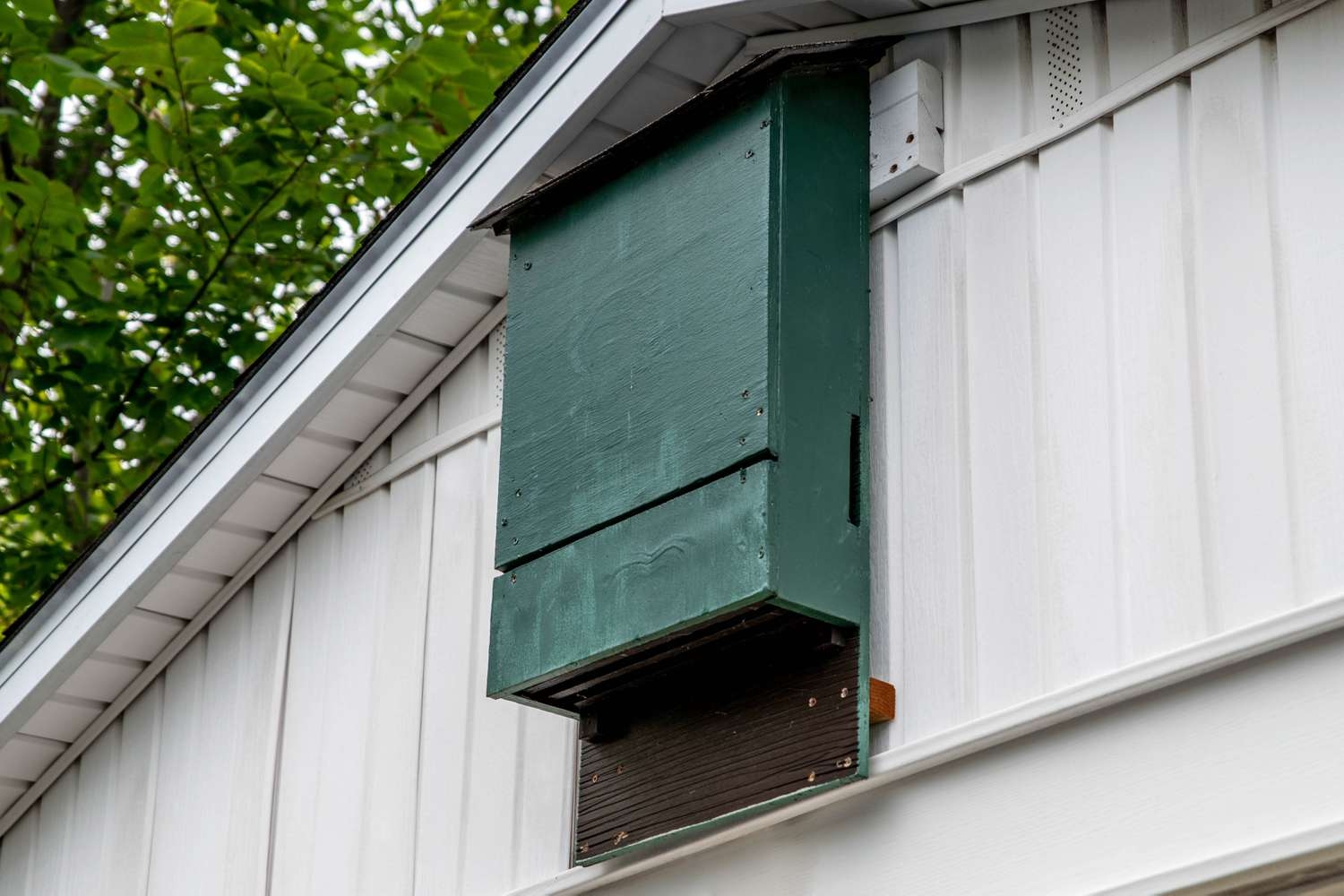 6 Free Bat House Plans