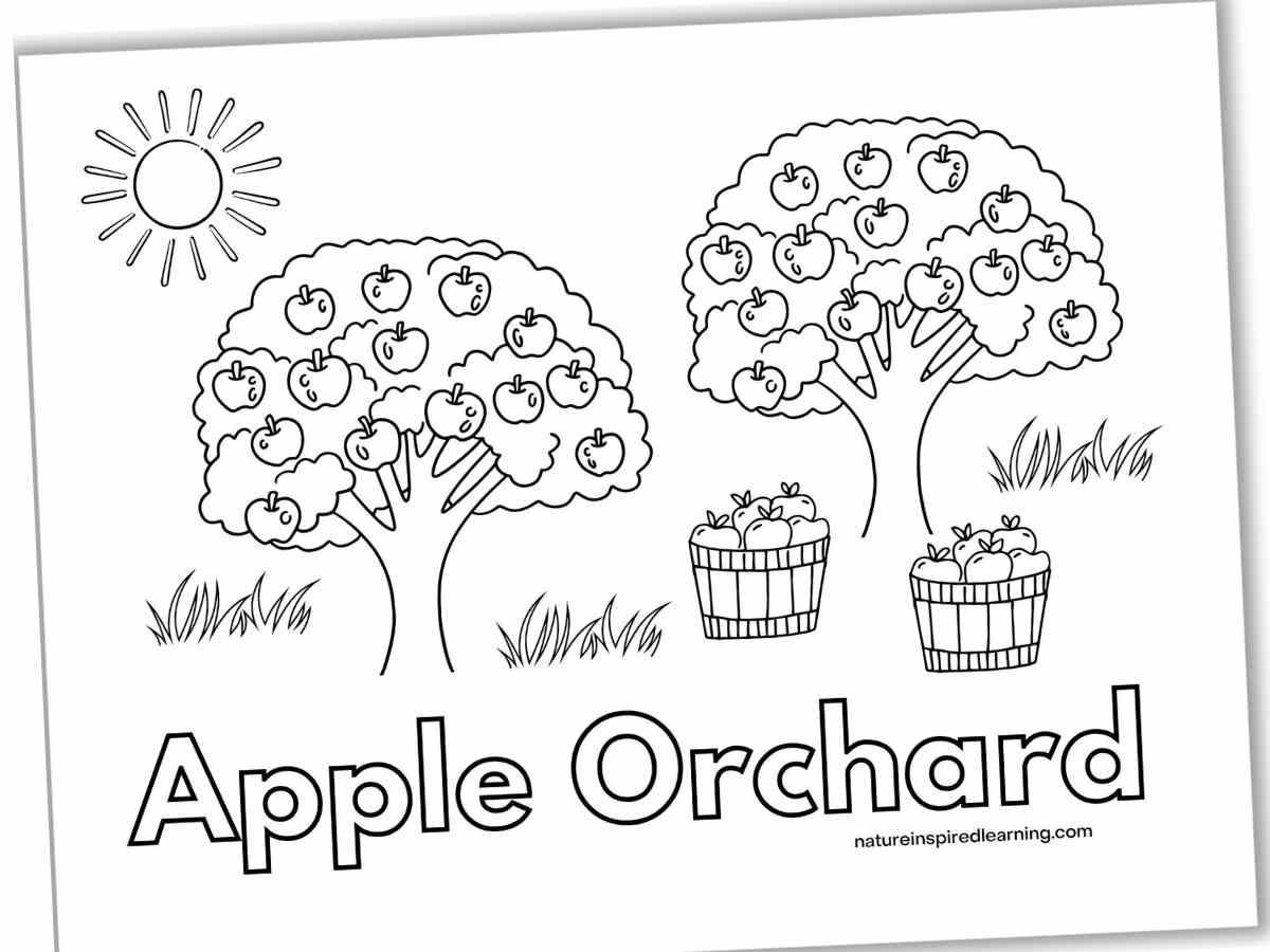 Apple Tree Coloring Pages Nature Inspired Learning