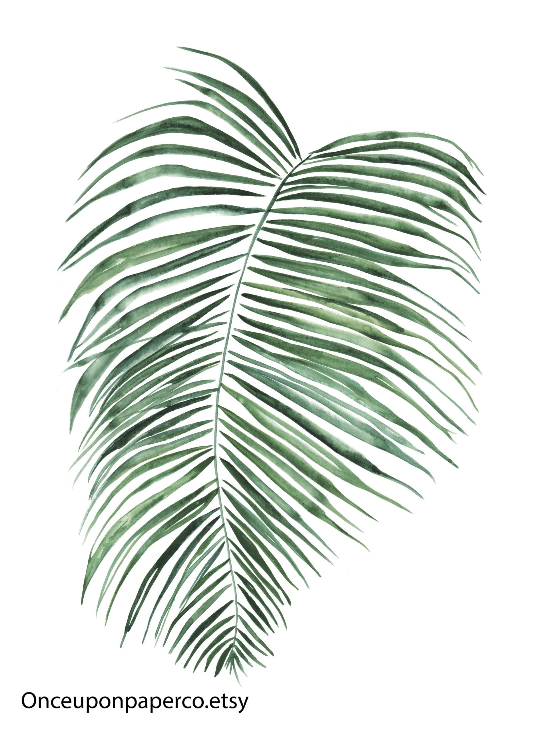 Printable Image Of A Single Palm Frawn