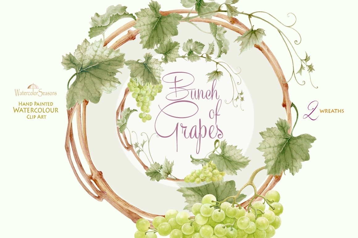 Bunch Of Green Grapes Watercolor Clipart Wine Labels PNG
