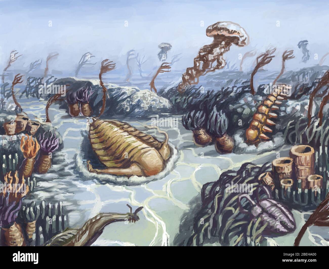 Cambrian Period Illustration Stock Photo Alamy