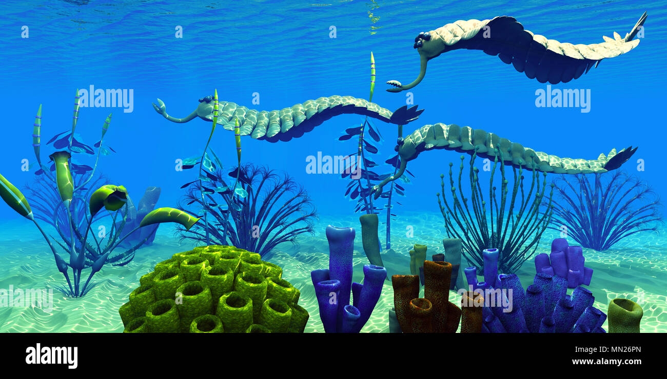 Free Printable Cambrian Period Images