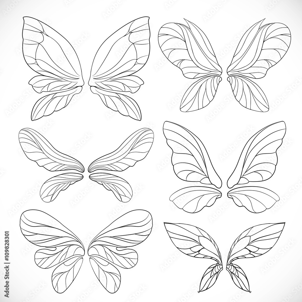 Fairy Wings Outlines Set Isolated On A White Background Stock Vector Adobe Stock