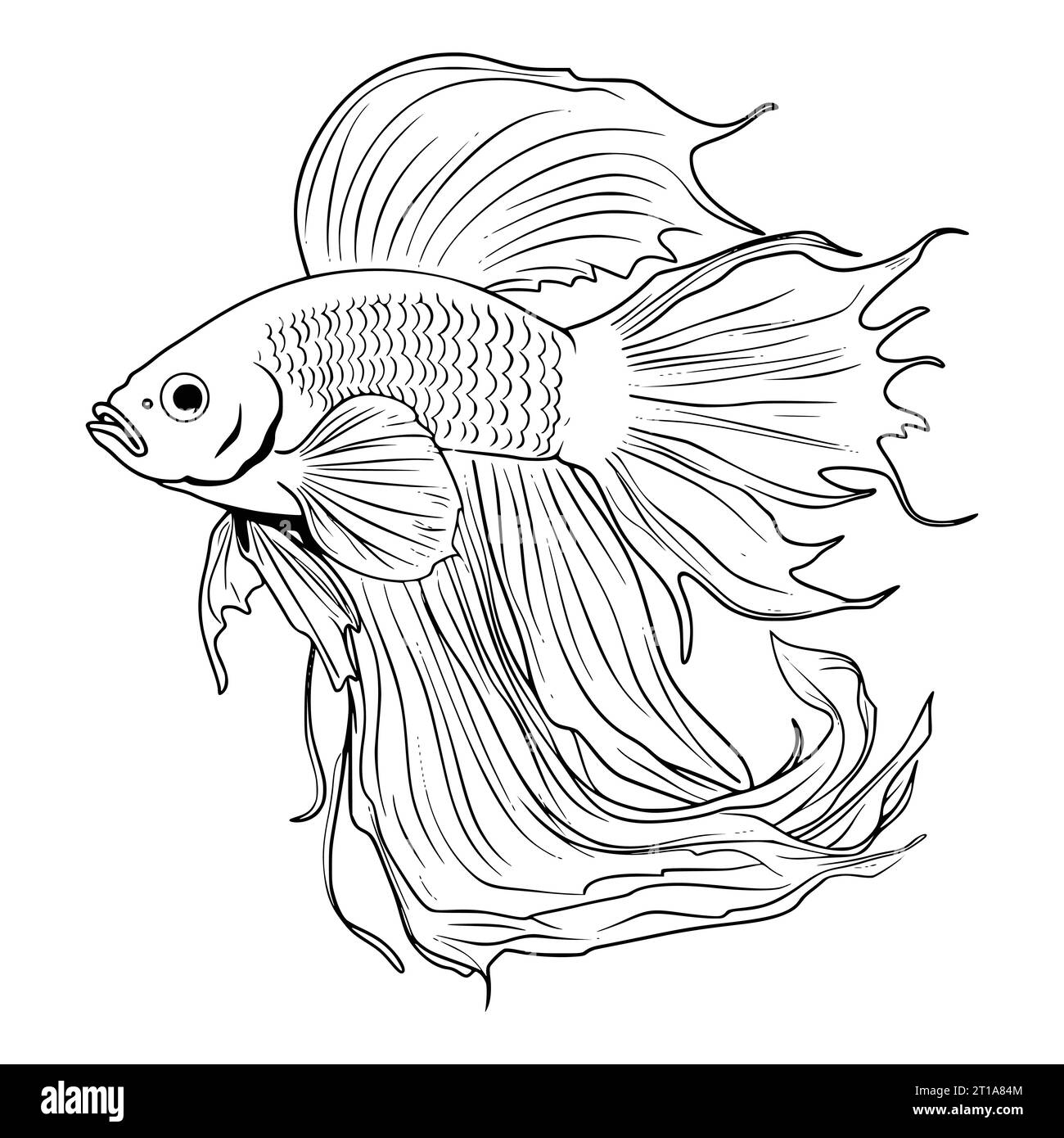 Free Printable Images Of Fish