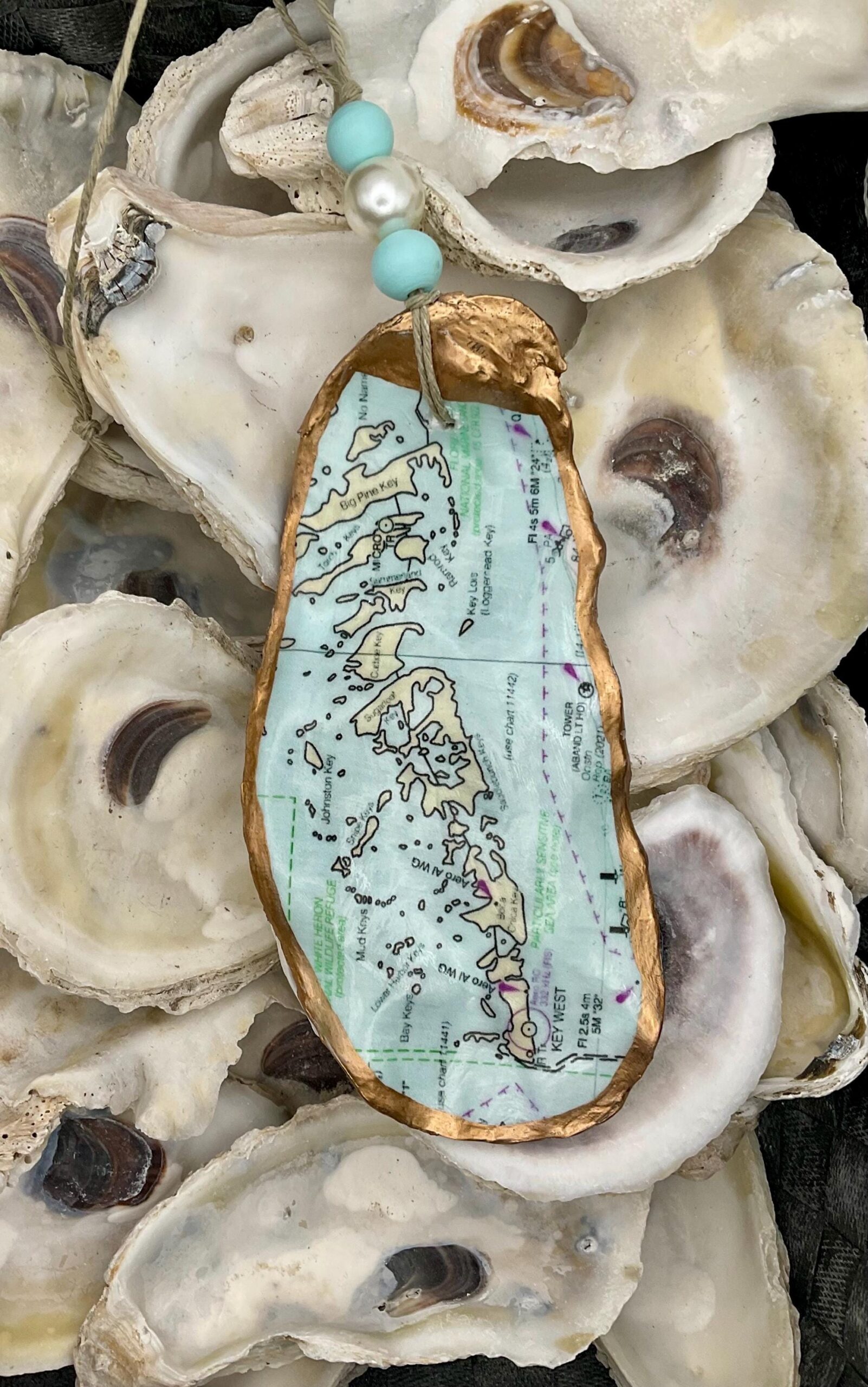 Printable Images Of Shell Key Preserve
