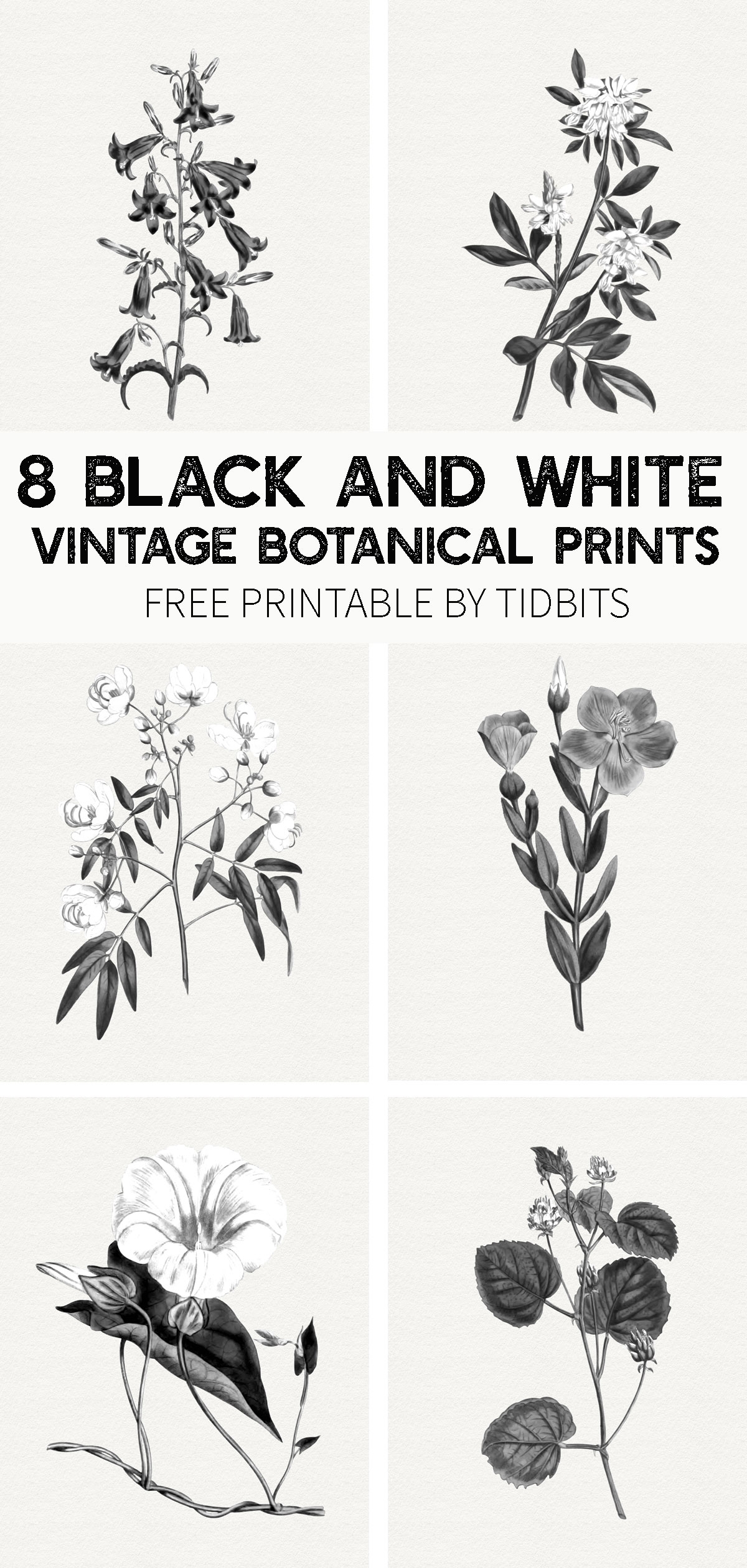 Free Printable Black And White Images