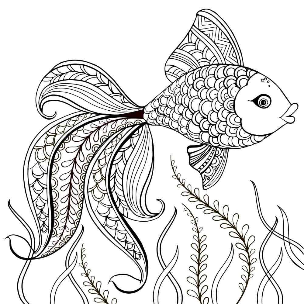 Free Printable Adult Fishing Images