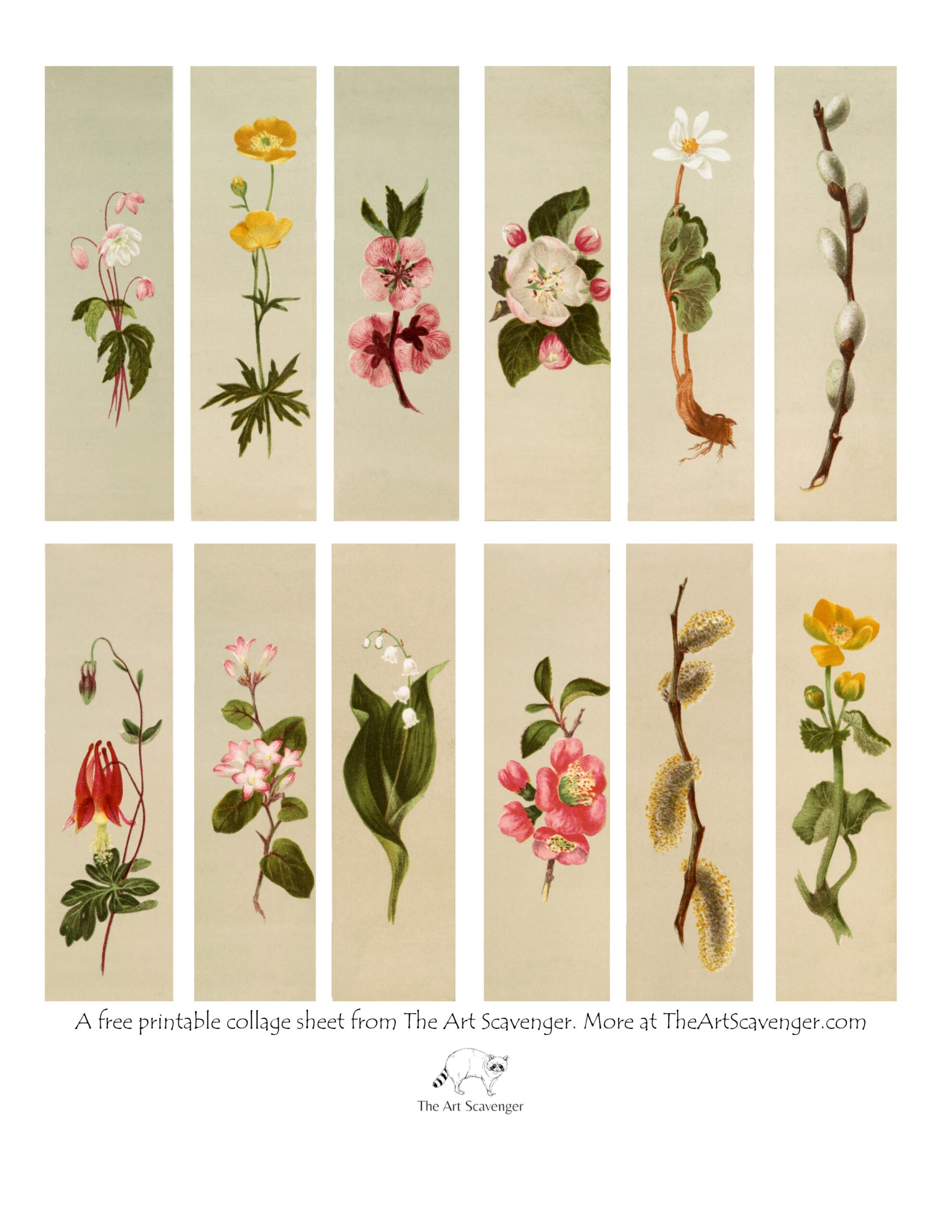 Free Printable Images Of Flowers