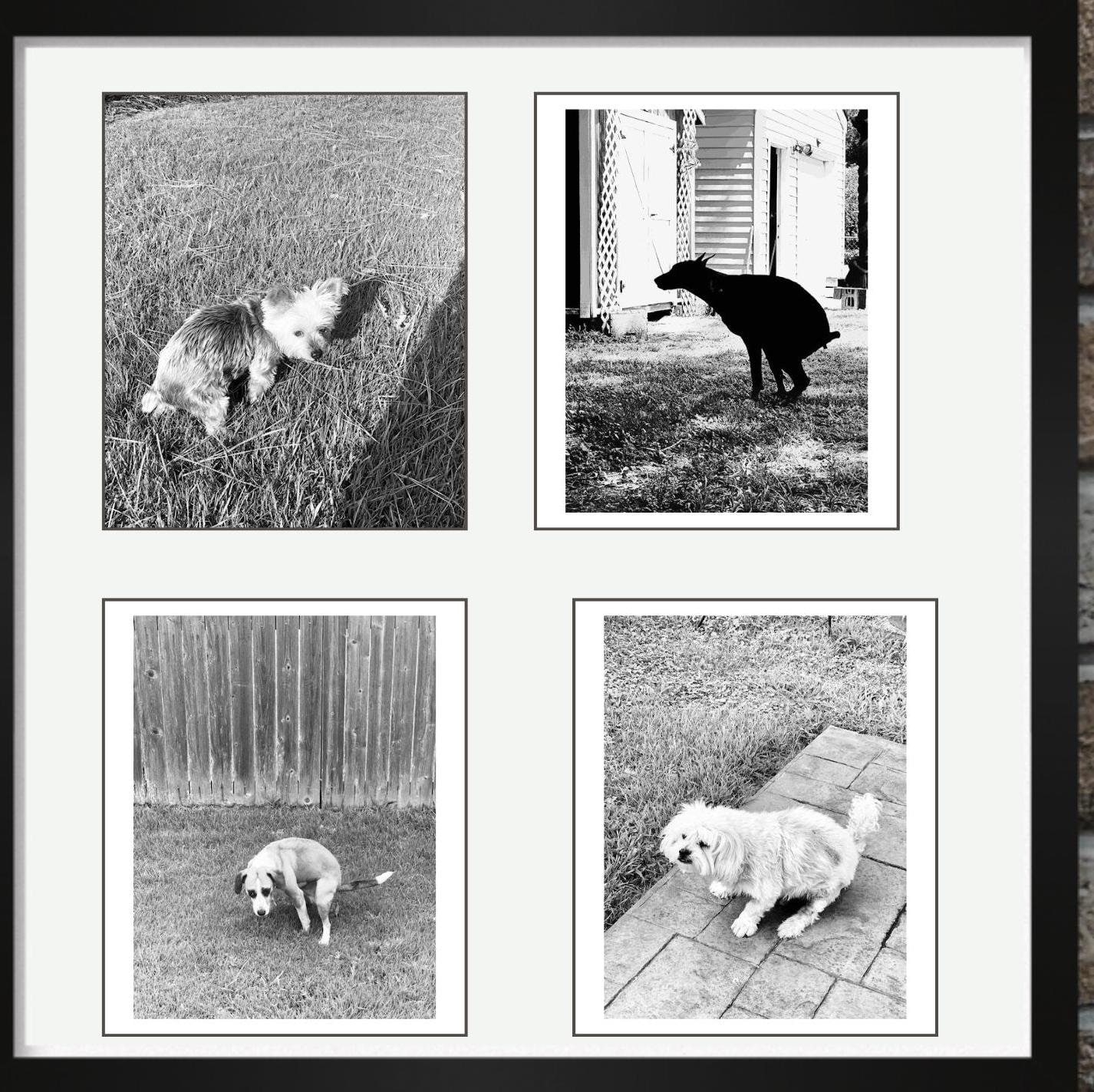 Funny Bathroom Dog Print Wall Art For Bathroom Set Of Four Prints Featuring Pooping Dogs Gift For Dog Owners Hilarious Dog Art For Home Etsy