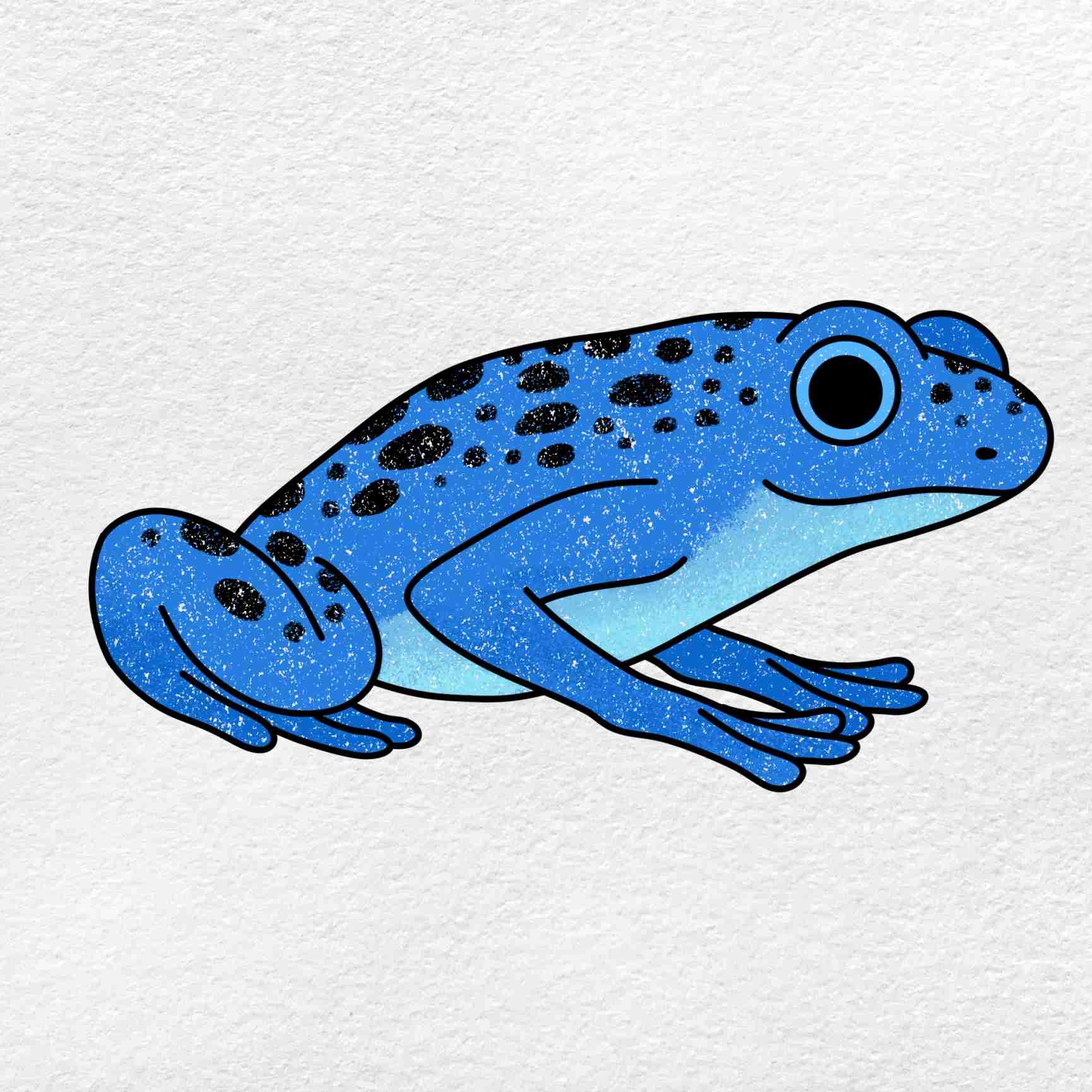 How To Draw Poison Dart Frog HelloArtsy