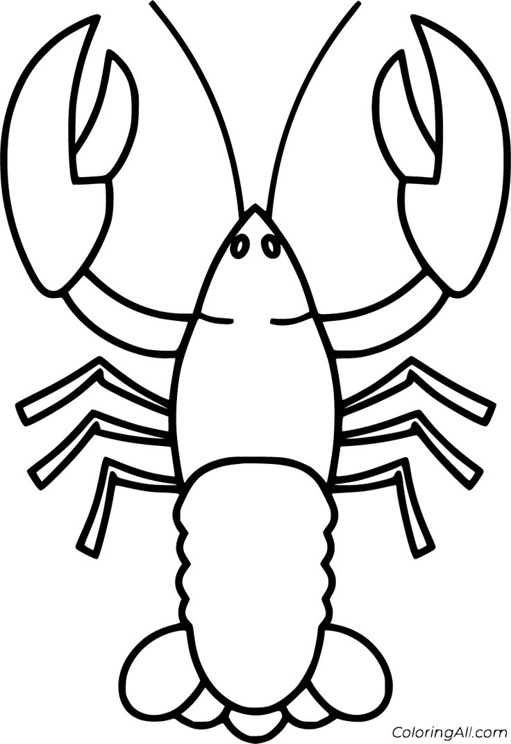 Lobster Drawings Images Printable Free