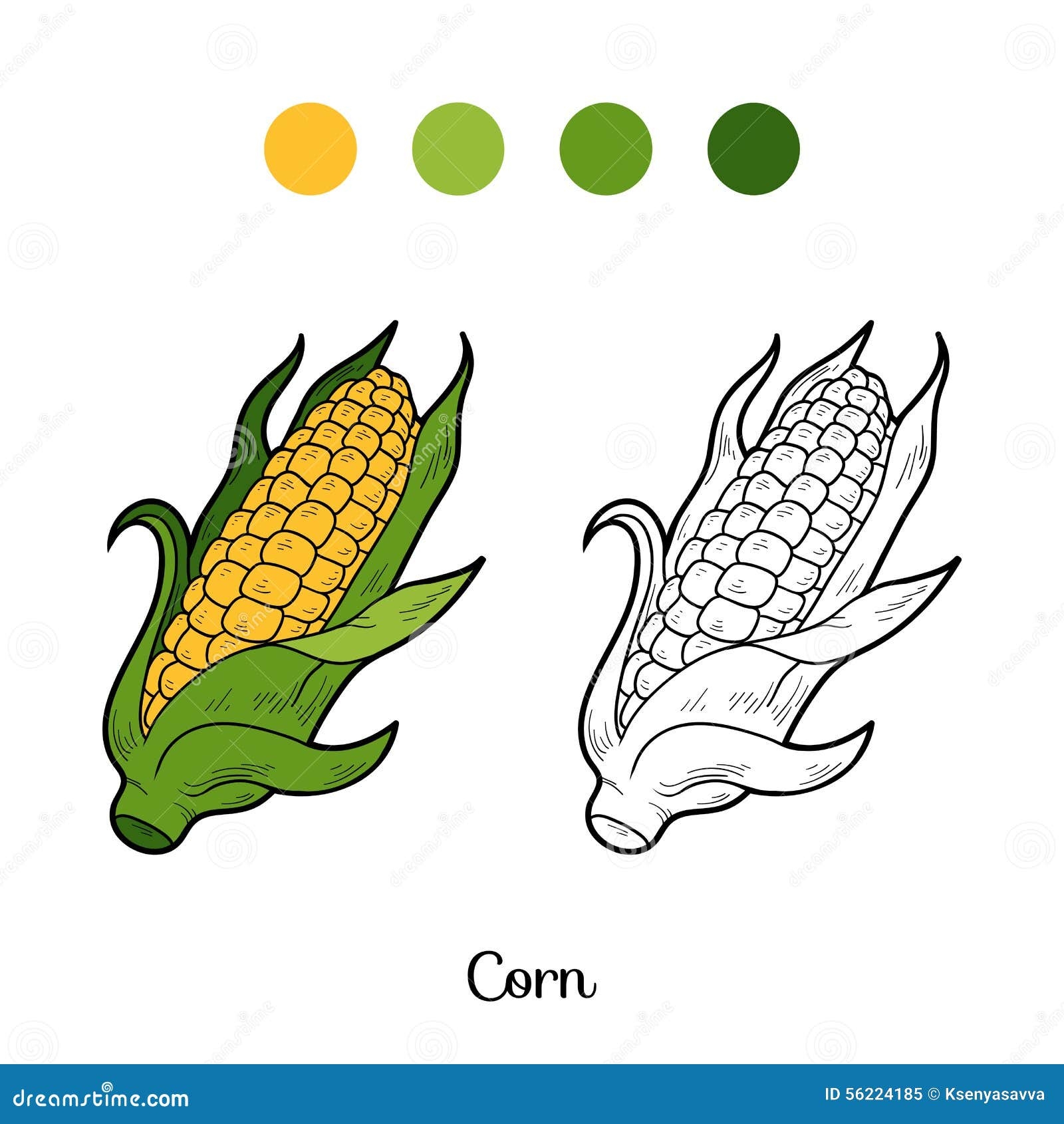 Color Printable Images Of Corn