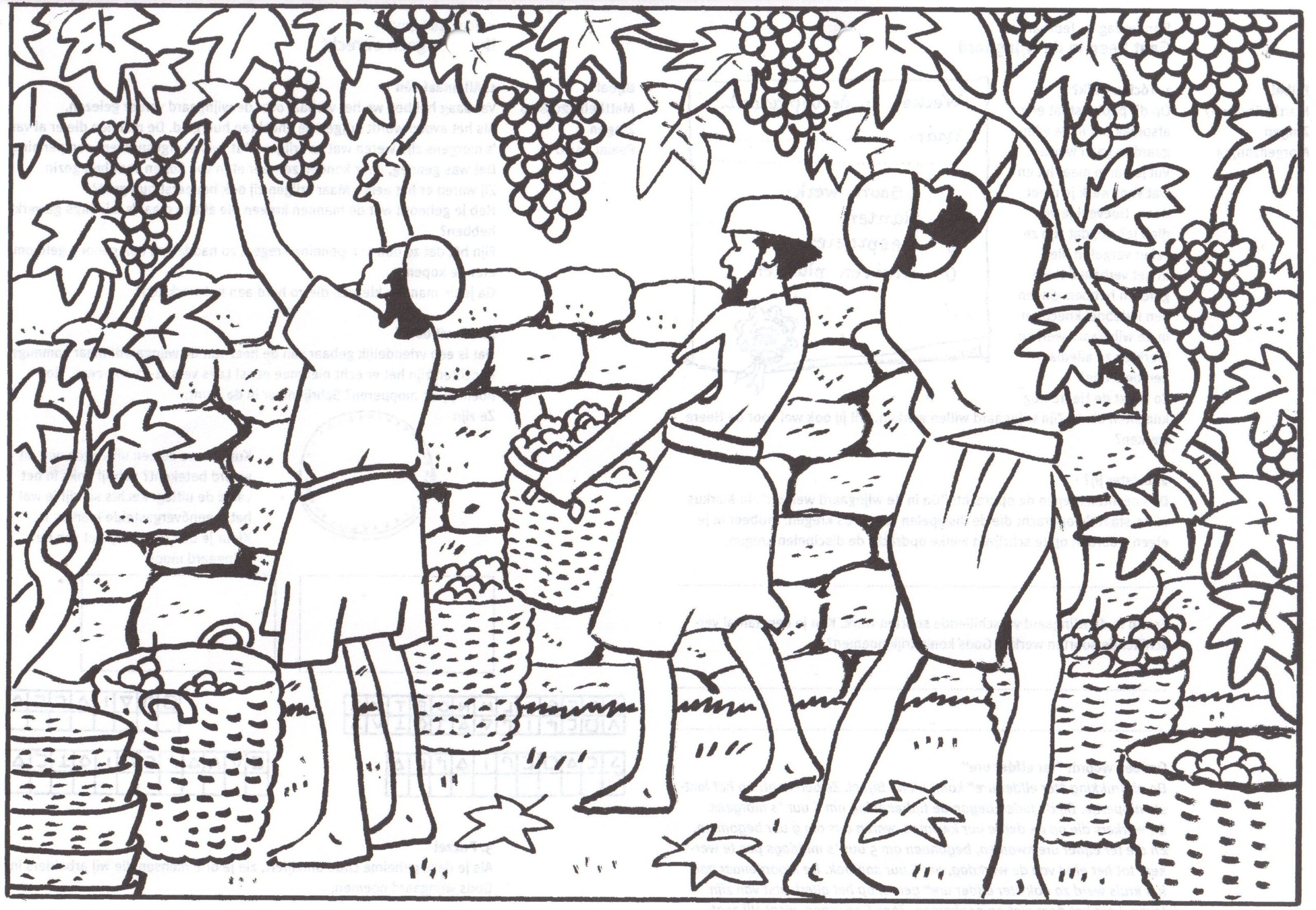 Parable Of The Workers Printable Images