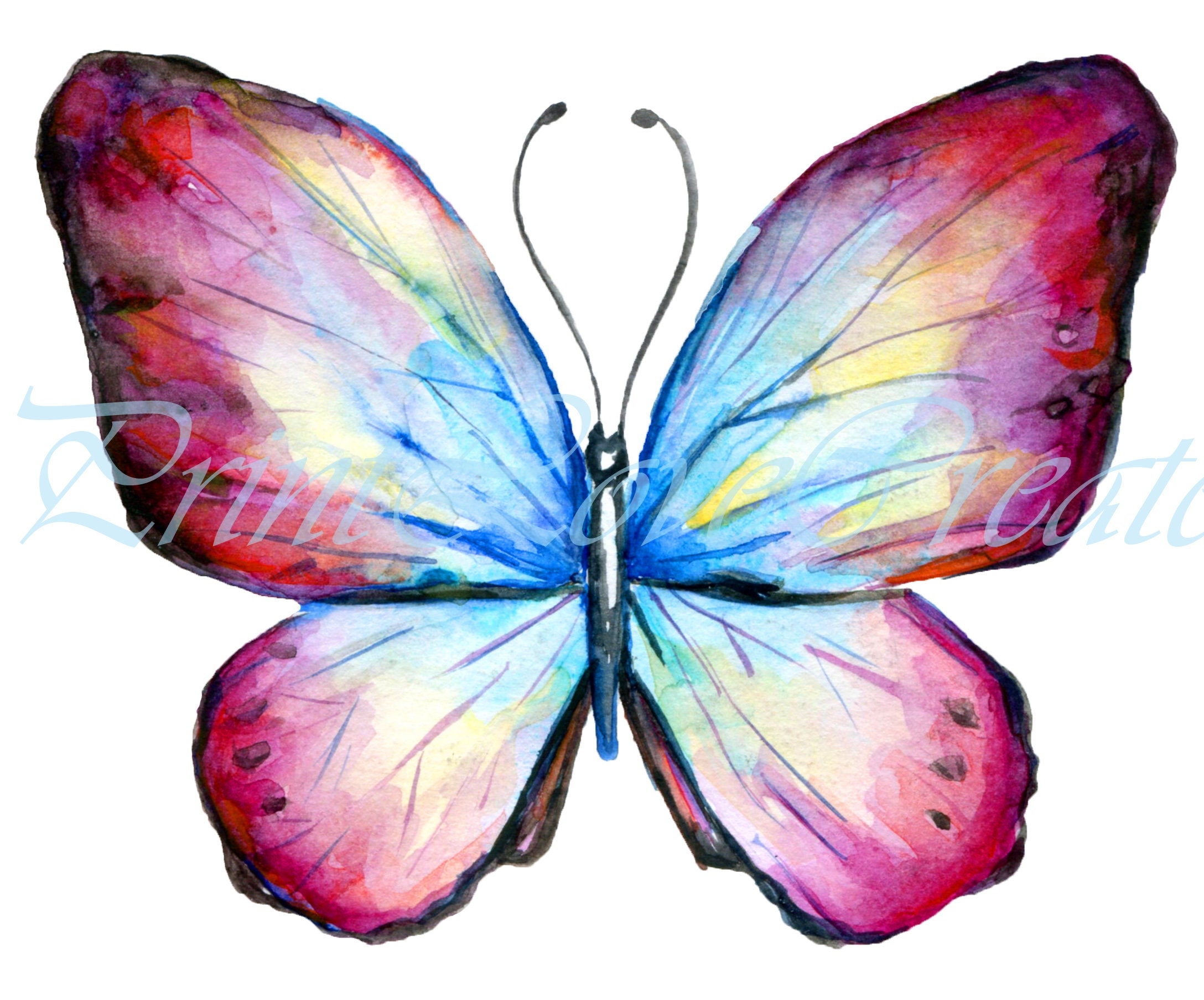 Butterfly Images Printable