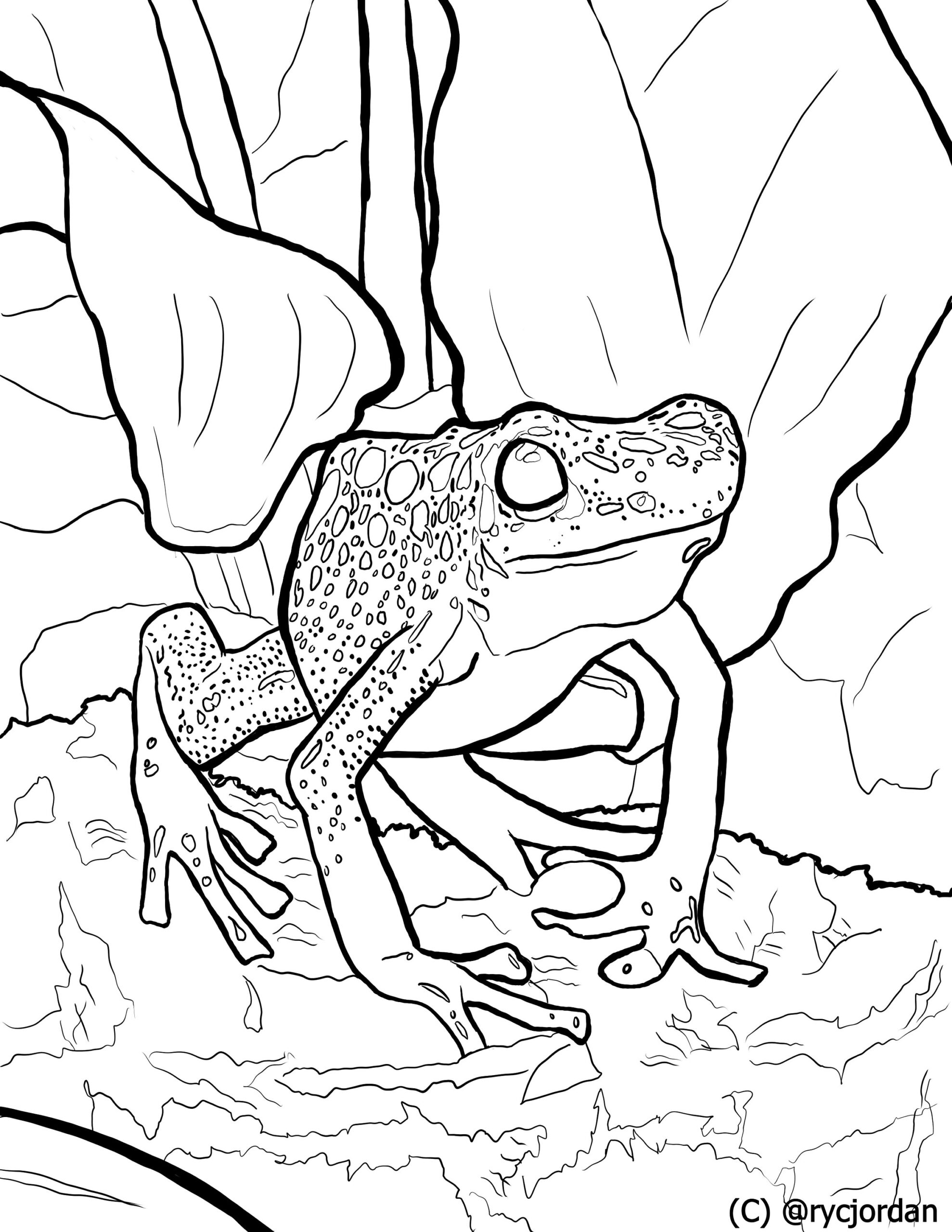 Printable Images Of Poison Tree Frogs