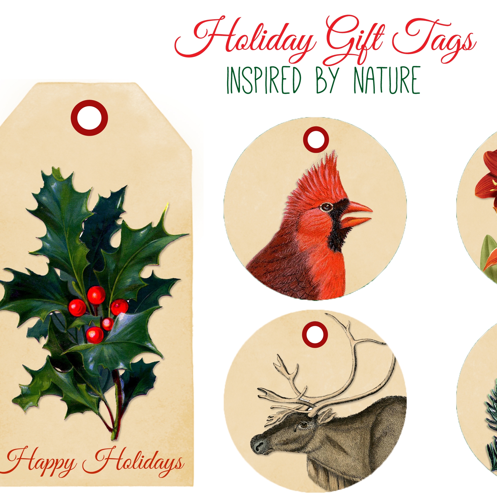 Images For Graphics Fairy Christmas Printables