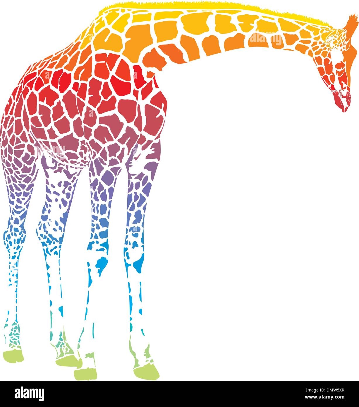 Rainbow Giraffe Vector Hi res Stock Photography And Images Alamy