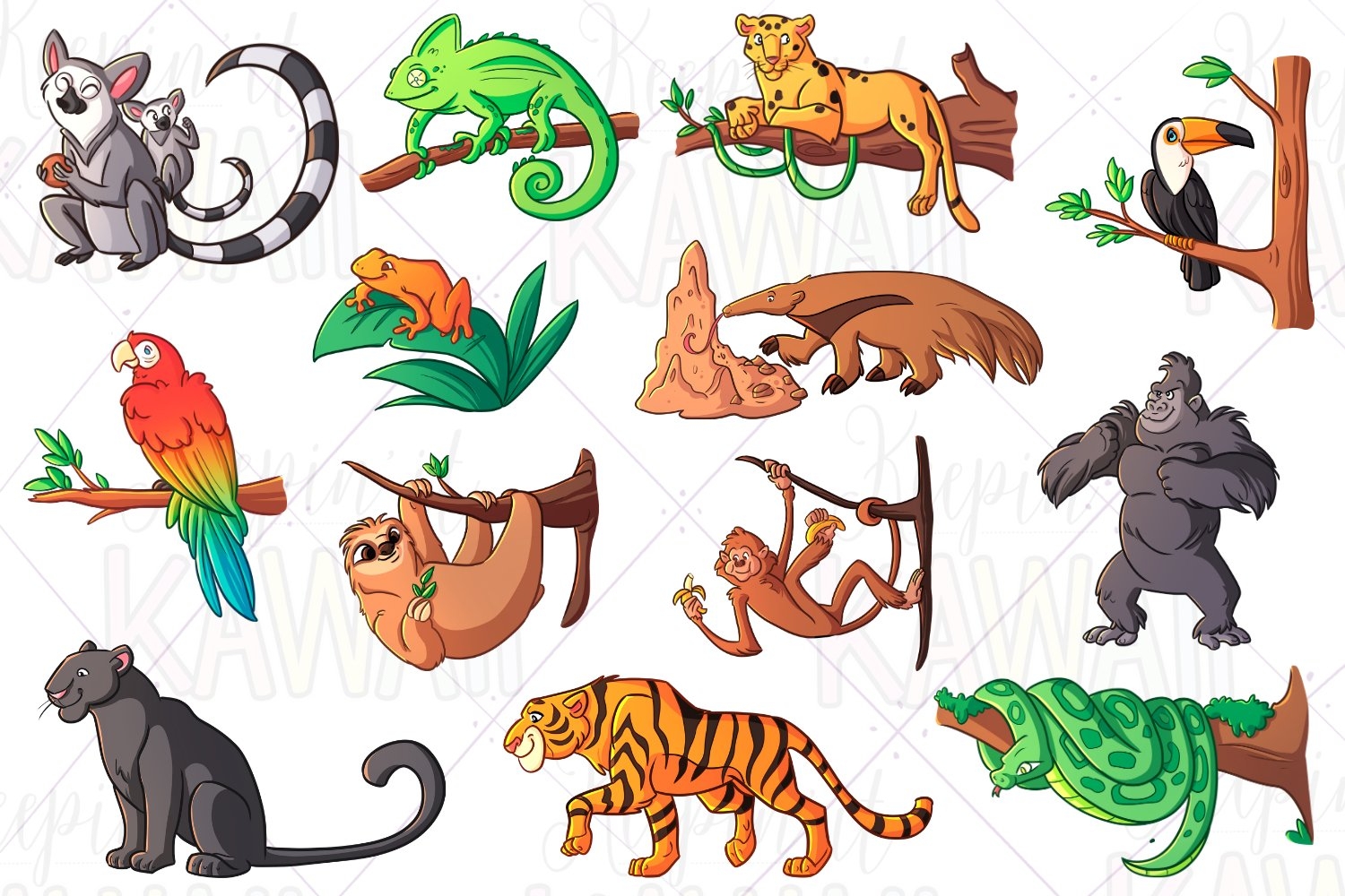 Images Of Rainforest Animals Free Printable