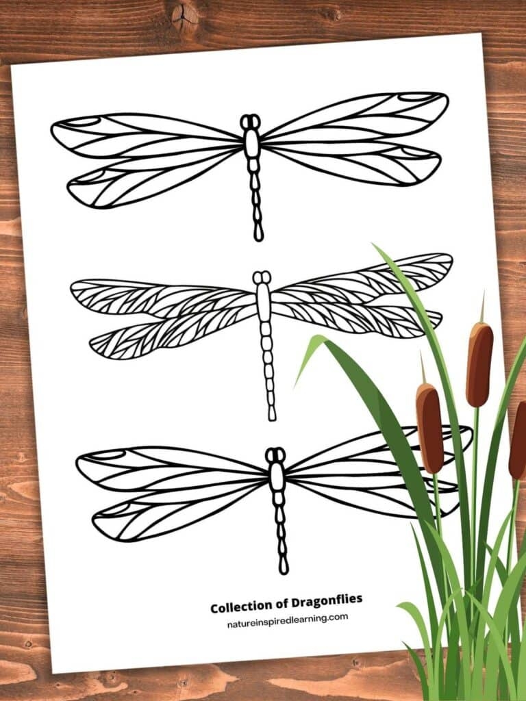 Free Printable Dragonfly Images