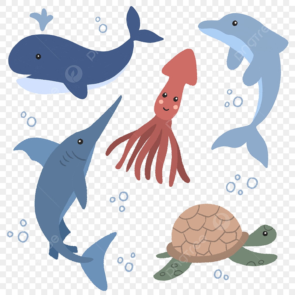 Printable Images Of Sea Animals