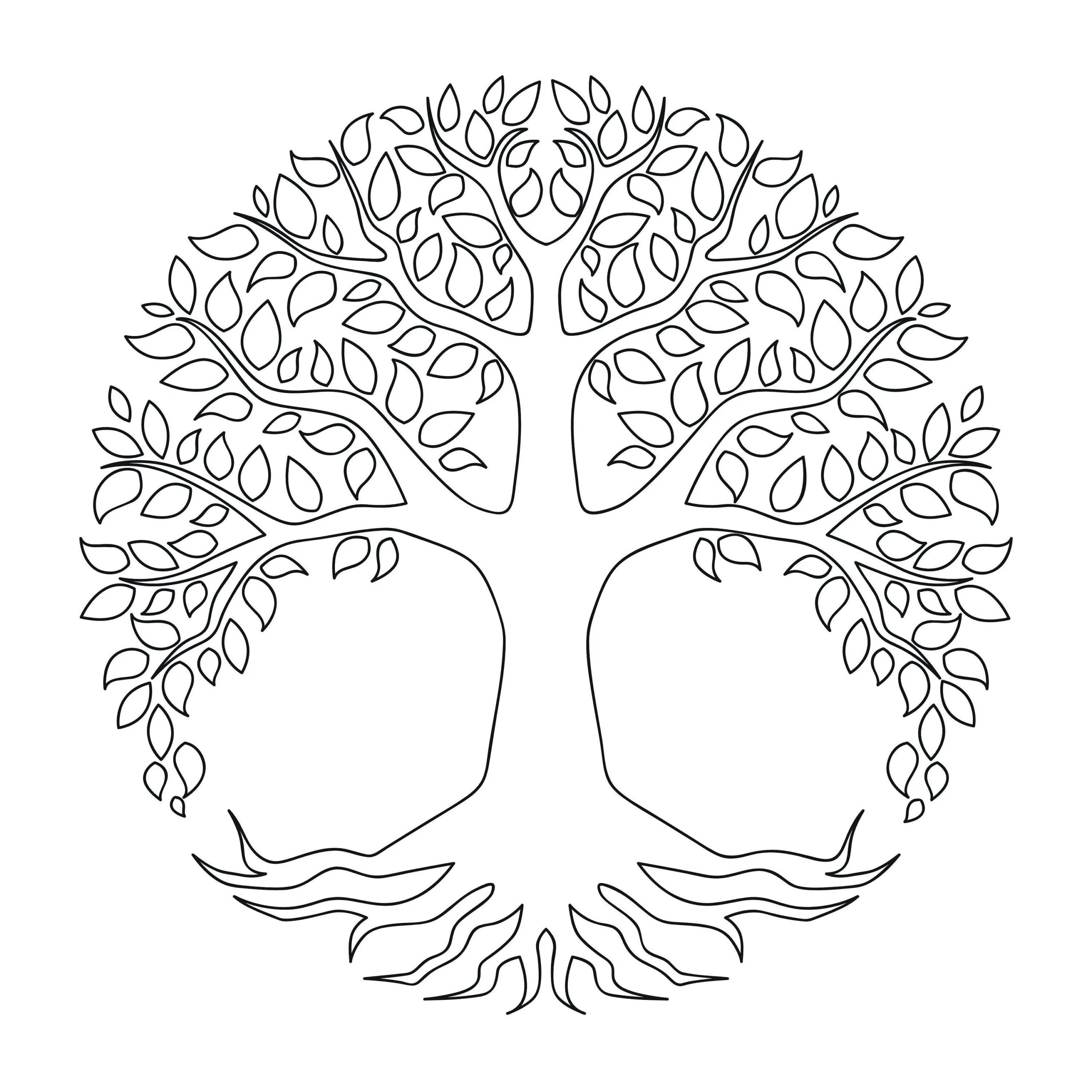 Tree Of Life Template Free Printable Shop On Pinterest