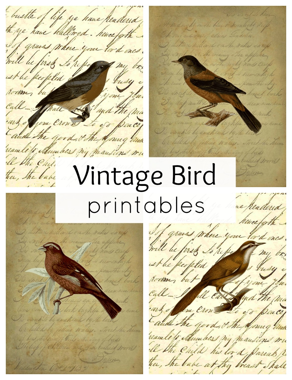 Free Printable Images Of Birds