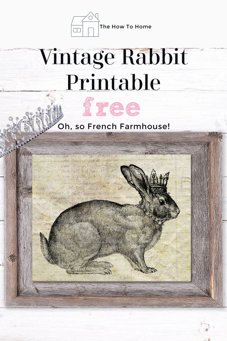 Free Printable Vintage Bunny Images